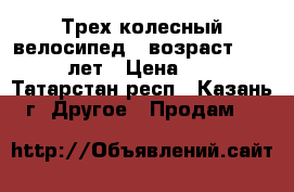 Трех колесный велосипед , возраст 2,5-6 лет › Цена ­ 2 - Татарстан респ., Казань г. Другое » Продам   